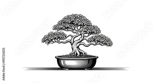 Elegant bonsai tree illustration showcasing intricate details and artistic design.