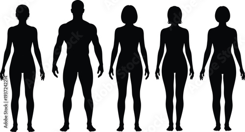 Silhouette, people, standing, male, female, body, diversity, anatomy, posture, figure, comparison, gender, shape, human, row, illustration, design, concept, identity, variation, physique