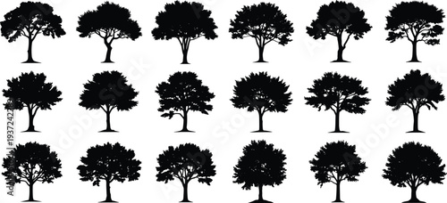 Silhouette, trees, forest, nature, landscape, environment, foliage, branches, leaves, trunks, greenery, park, garden, outdoor, ecology, botany, diversity, design, art, illustration, abstract, concept