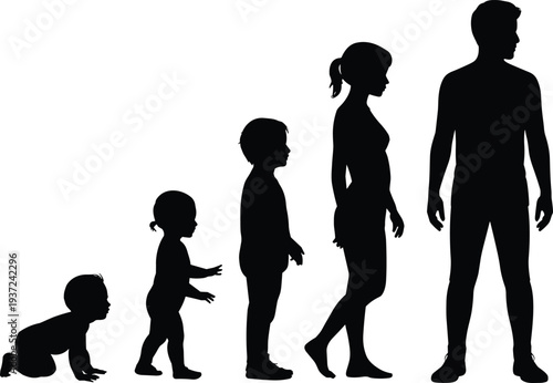 Human growth stages silhouettes collection set, flat vector illustration of baby child teenager adult life cycle evolution