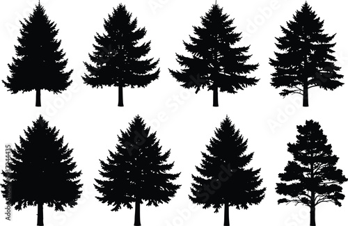 Set of different pine tree silhouettes, black forest evergreen fir and spruce species, nature plant collection isolated on white background