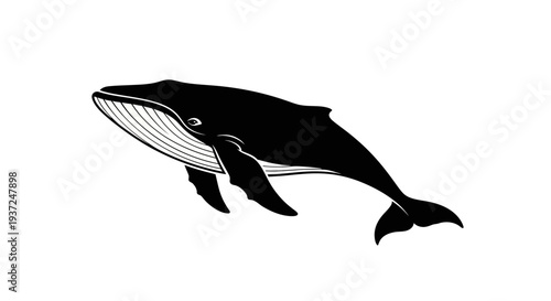 Majestic Black Whale Illustration, Marine Mammal Silhouette Art, Oceanic Wildlife Vector Graphic, Sea Creature Design Element