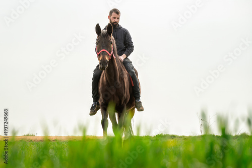 Quadro em tela Handsome young man riding a horse in a meadow in spring.