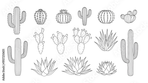 Desert Landscape Plant Set Cacti and Succulents Top Down Plan View Vector Symbols for CAD