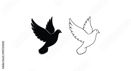 Two birds in flight one dark and one light striking silhouette