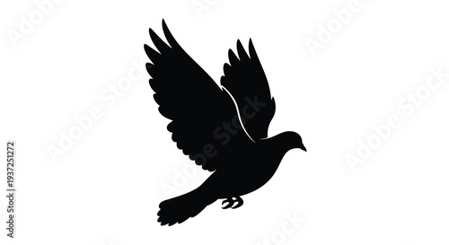 A black silhouette of a bird with wings spread in flight silhouette