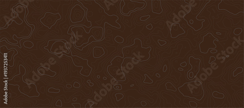 Topographic Contour Map Pattern Background and Elevation Detail terrain path mapping modern cartography vector illustration.