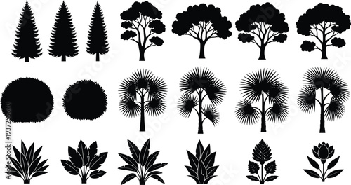 Collection of black tree silhouettes including pine, palm, and deciduous species with bushes and tropical plants for landscape architecture and design