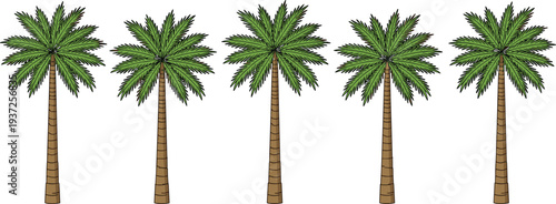 Five realistic tropical palm trees with green fronds and brown trunks isolated on white background for summer vacation beach design