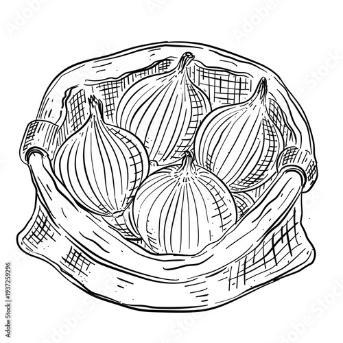 onions in sack bag vegetable vector line art hand drawn illustration