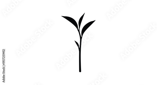 Simple black plant stem with leaves a minimalist silhouette