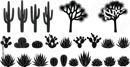 Desert cactus and succulent plant silhouettes collection isolated on white background agave yucca botanical vector set for nature design