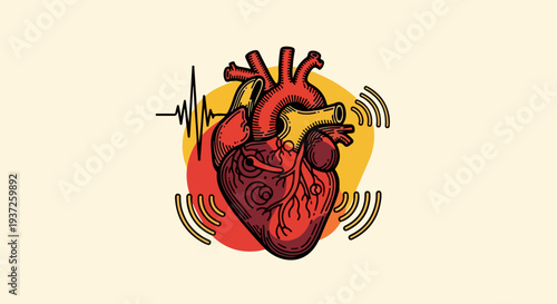 Anatomical heart illustration with heartbeat line and signal waves