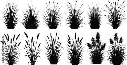 Wild grass bush silhouettes collection ornamental meadow plants foliage set botanical nature elements garden vegetation vector isolated illustration