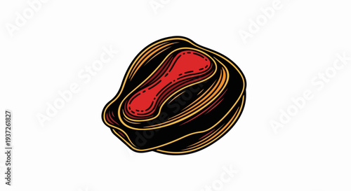 Nutmeg seed illustration in vintage engraved style