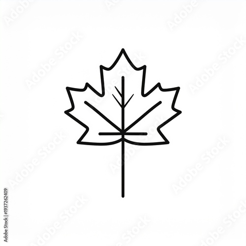 Black and white maple leaf illustration vector isolated on white background