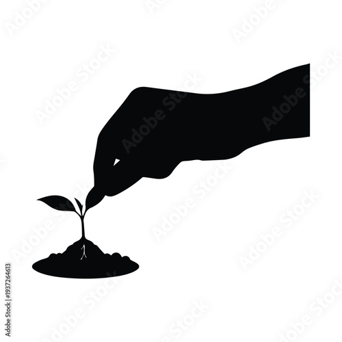 Hand nurturing young plant growth with care and precision