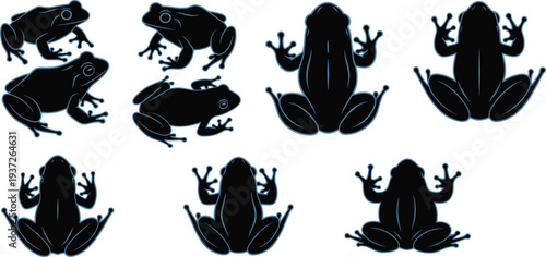 Frog silhouettes, toad icon elements, tropical amphibian, pond wildlife, nature vector, jumping frog, wildlife biology, swamp animal, leaping creature, garden inhabitant.