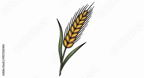 Single wheat ear illustration with green leaves