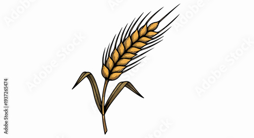 Single wheat spike illustration with short stem and two leaves