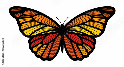 Monarch butterfly illustration with segmented orange yellow and red wings