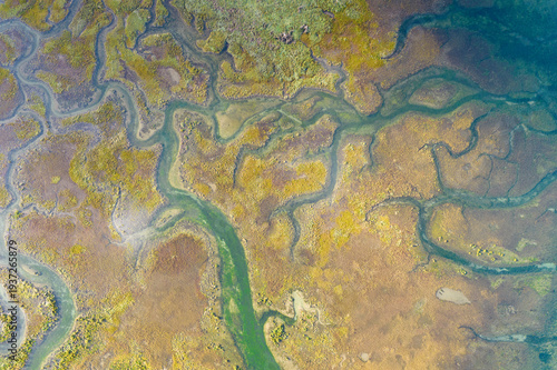 Marsh in Santona bay, Laredo, Cantabria, Spain