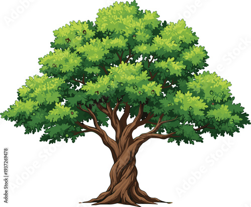 Detailed illustration of mature leafy tree with twisted trunk and wide canopy, natural foliage artwork for education, environment, sustainability, ecology, and artistic design purposes