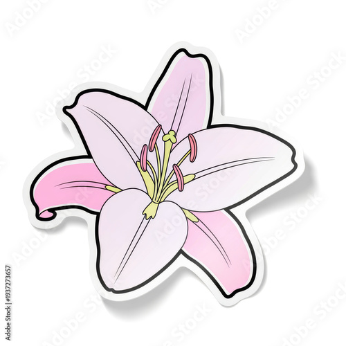 Elegant pink lily flower sticker illustration with detailed petals and pollen stems on white cutout backing