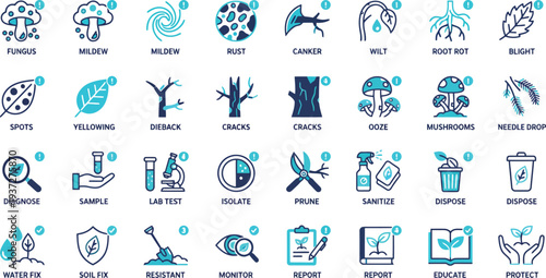 Vector icons depicting common plant diseases and treatment methods for gardeners and agricultural professionals