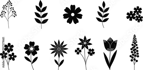 Set of eleven floral black silhouettes including flowers and leaves icons isolated on white background for spring and summer design.