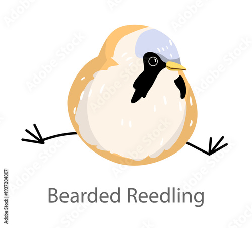 Flat vector illustration of a bearded reedling in cute round style. Small fluffy bird isolated on a white background.