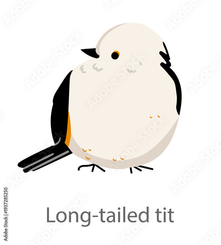 Flat vector illustration of a long-tailed tit in side view. Cute small songbird with a fluffy round body isolated on a white background.