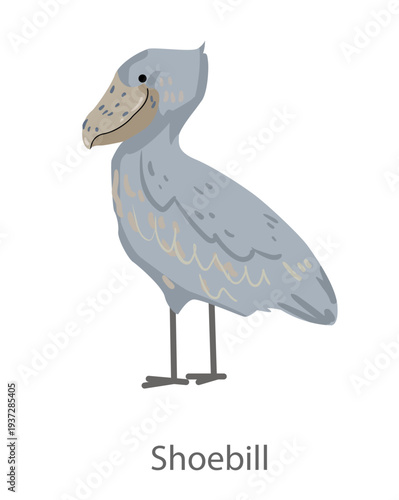 Flat vector illustration of a shoebill standing in side view. Large exotic marsh bird isolated on a white background suitable for educational and graphic design materials.
