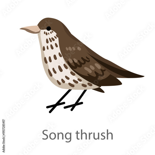 Flat vector illustration of a song thrush in side view. Brown spotted songbird isolated on a white background.