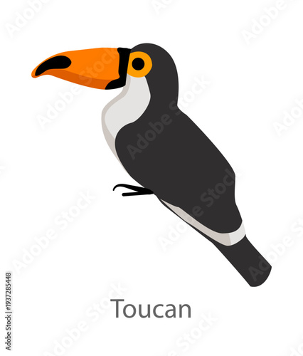 Flat vector illustration of a toucan in side view. Tropical bird with a large colorful beak isolated on a white background.