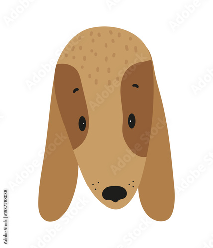 Flat vector illustration of a cute basset hound dog face with long floppy ears. Cartoon pet character isolated on a white background.