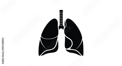 Anatomical illustration of human lungs a vital organ for respiration