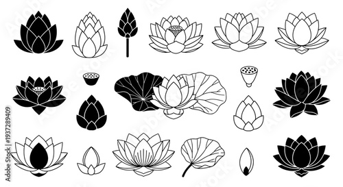 Set of black and white lotus flower illustrations, symbolizing purity, enlightenment, and rebirth, perfect for various design projects