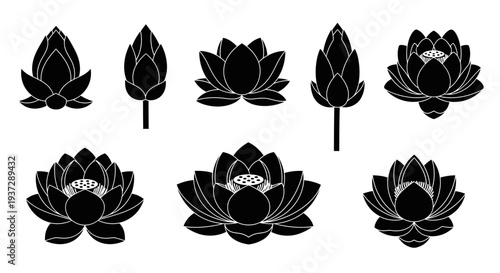Set of black and white lotus flower icons representing different stages of blooming, perfect for design projects