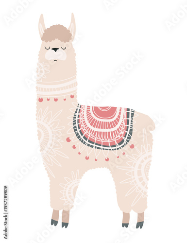 Stylized vector illustration of a llama decorated with ethnic ornamental patterns. Decorative mountain animal isolated on white background.