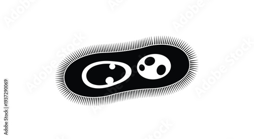 A black and white illustration of a bacterium with flagella