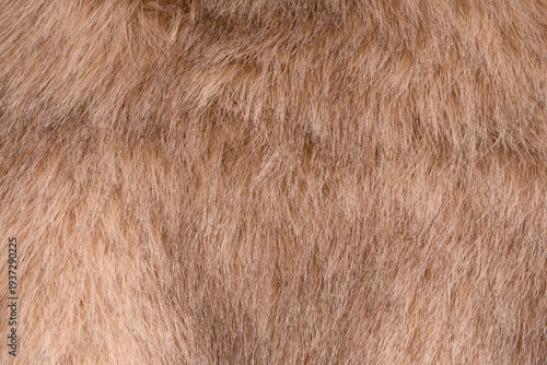 Bild auf Leinwand Texture of faux fur as a background, top view.