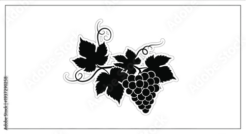 Stylized black and white illustration of a grape vine with leaves and fruit