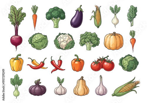 An abundant and colorful assortment of fresh farm vegetables, including carrots, bell peppers, pumpkins, garlic, and broccoli, is generously displayed on a white background.
