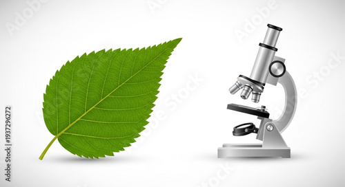 Green Leaf and Microscope for Scientific Research.