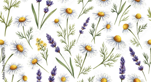 A charming seamless watercolor pattern featuring delicate chamomile flowers and soothing lavender sprigs on a white background.