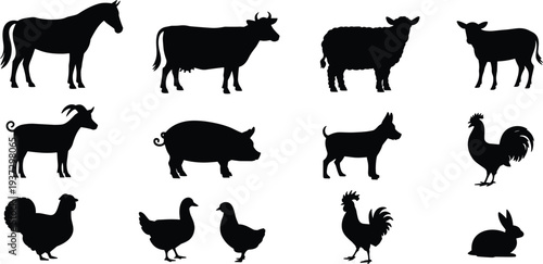 Collection of farm animal silhouettes including horse, cow, sheep, goat, pig, dog, rooster, hen, duck and rabbit isolated black livestock vector set illustration