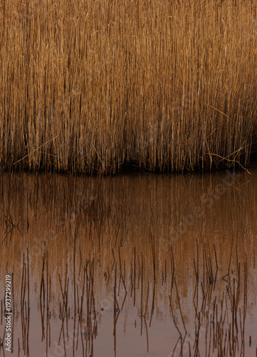 reflections on the water