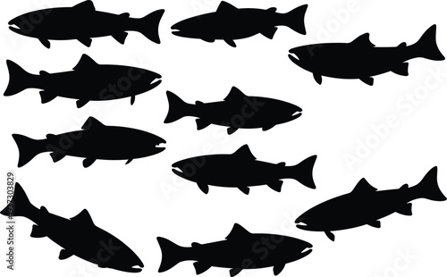 Trout fish silhouettes collection isolated on light background, freshwater fishing fish shapes set for wildlife icon, aquatic animal design, and fishing logo
