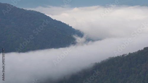 The morning mist passes through the ravine. at Huay Kub Kub, Chiang Mai, Thailand